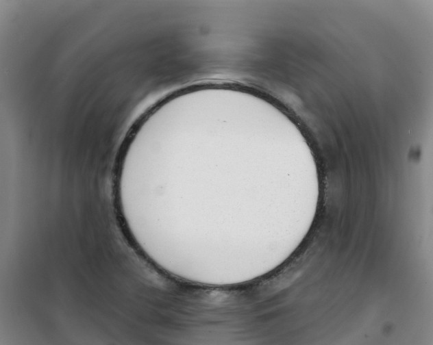 X0000100361412200807031827