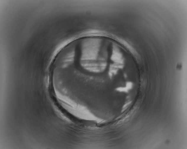 X0000100361413200807031827