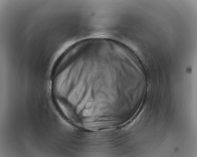 X0000100361414200807031827