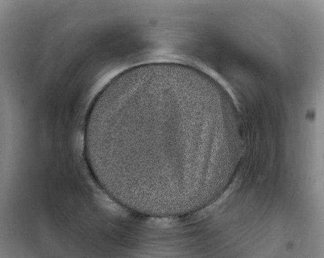 X0000100361415200807031827