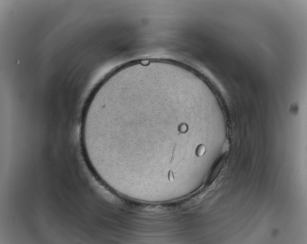 X0000100361416200807031827