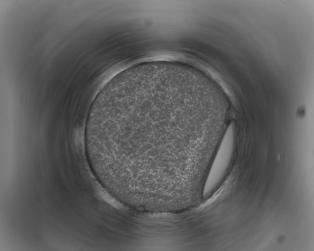 X0000100361417200807031827