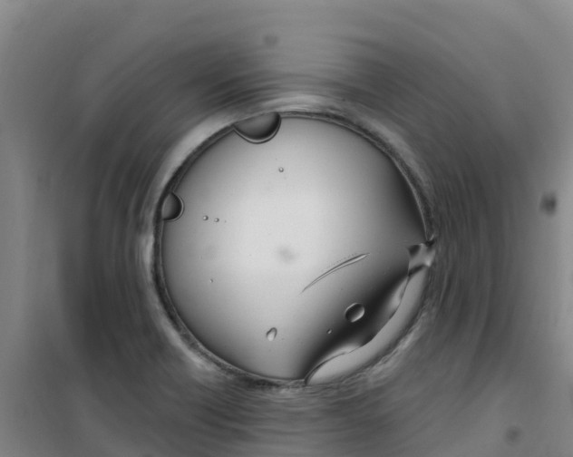 X0000100361418200807031827