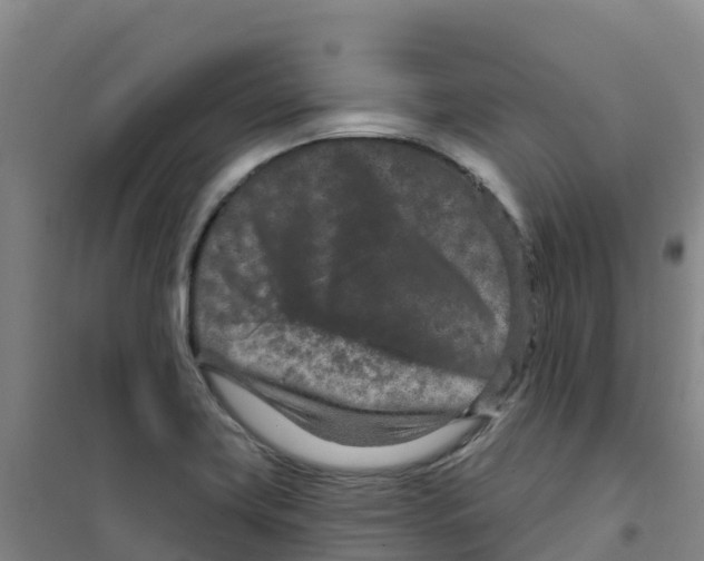 X0000100361419200807031827