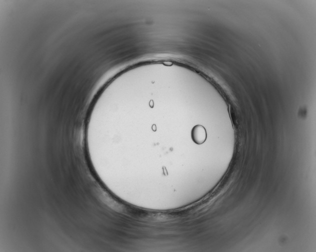 X0000100361420200807031827