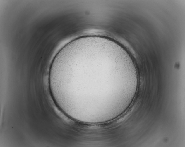 X0000100361421200807031827