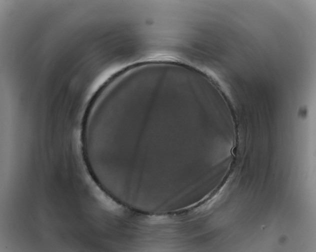 X0000100361422200807031827