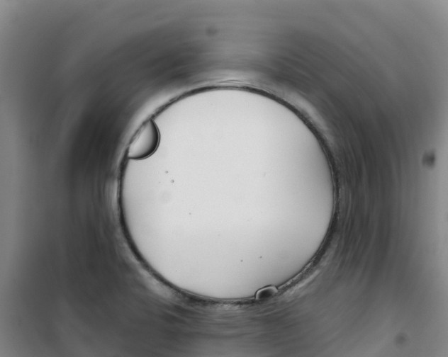 X0000100361424200807031827