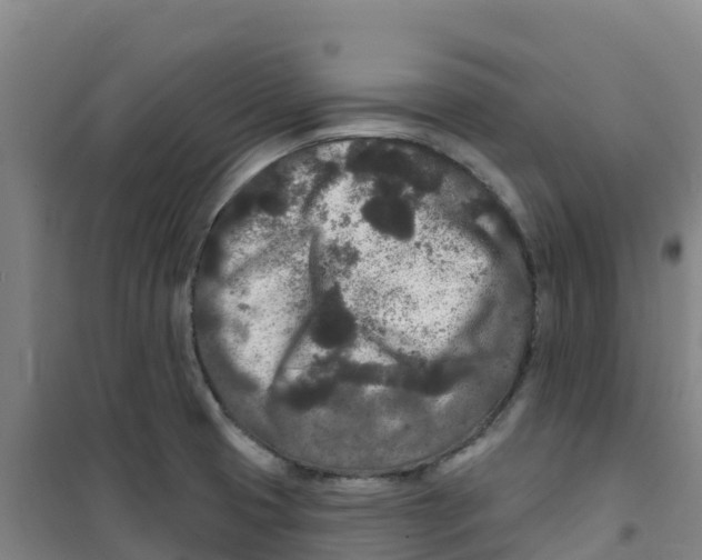 X0000100361425200807031828