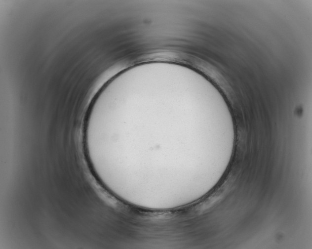 X0000100361426200807031828