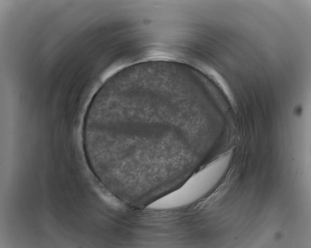 X0000100361427200807031828