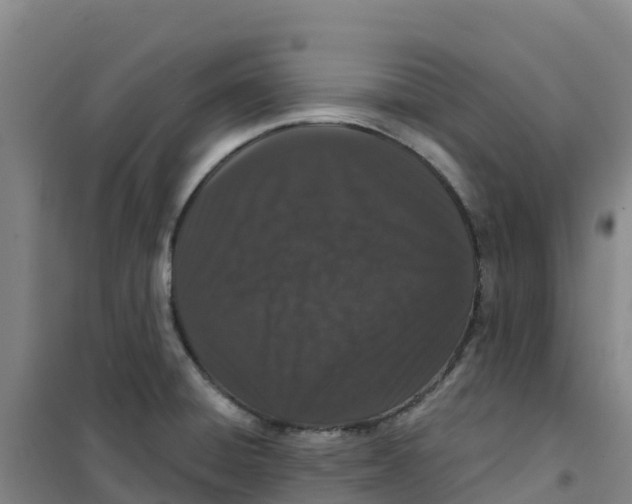 X0000100361428200807031828