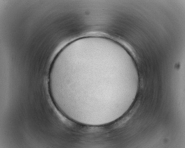 X0000100361430200807031828