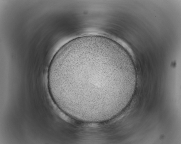 X0000100361431200807031828
