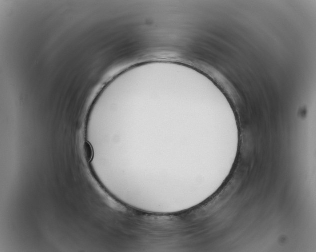 X0000100361432200807031828