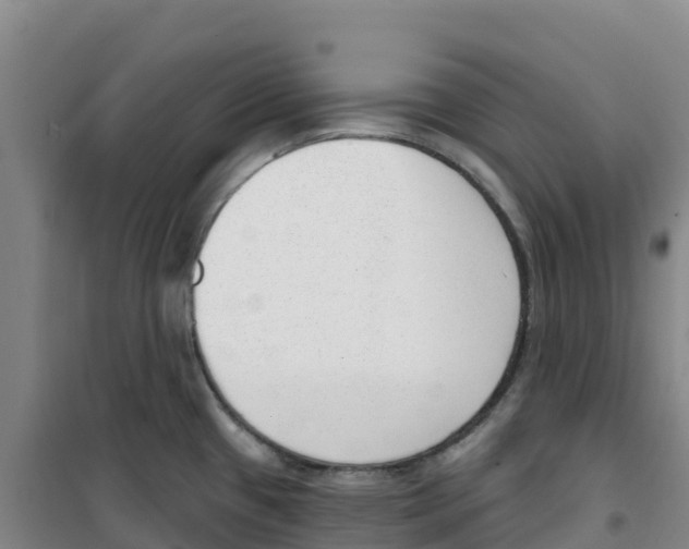 X0000100361433200807031828
