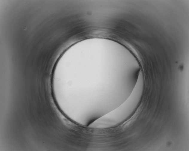 X0000100361434200807031828