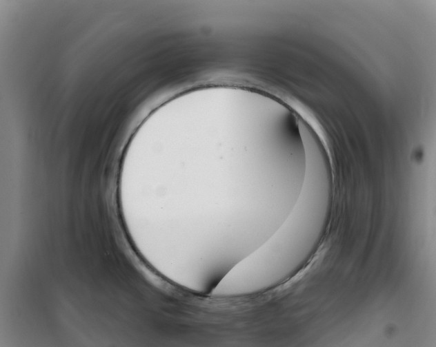 X0000100361437200807031828