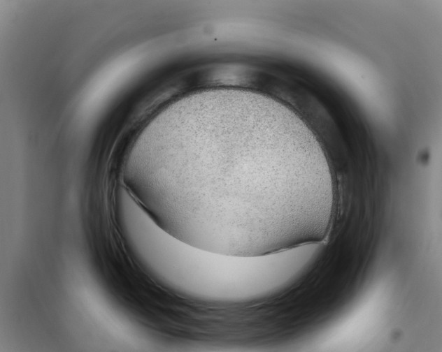 X0000100361438200807031828