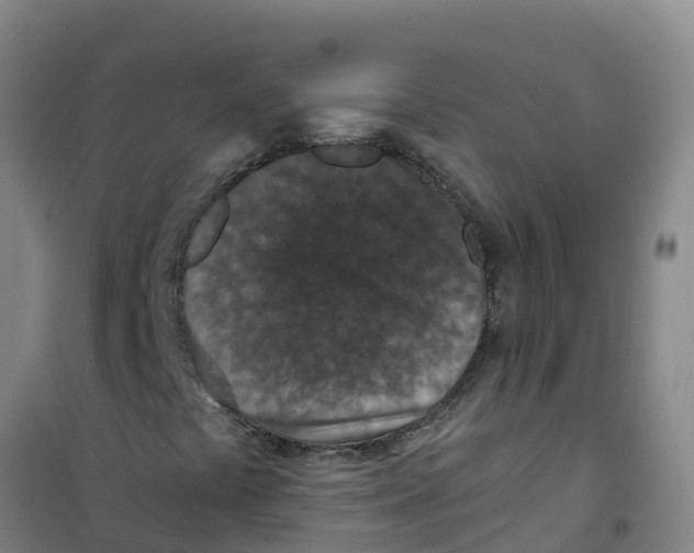 X0000100361441200807031827