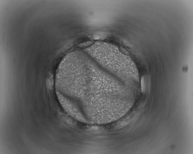 X0000100361443200807031827