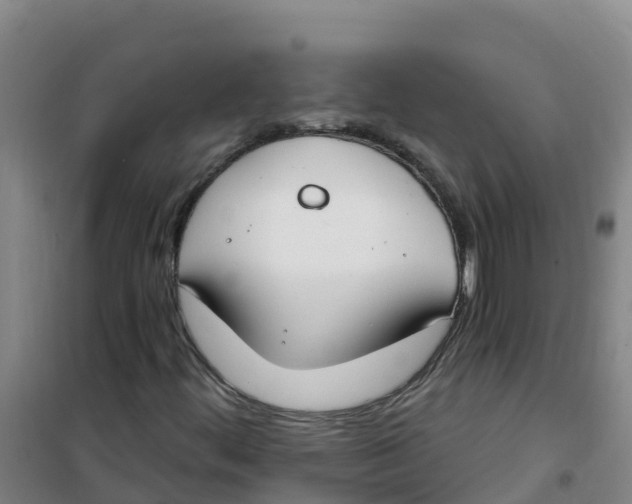 X0000100361444200807031827