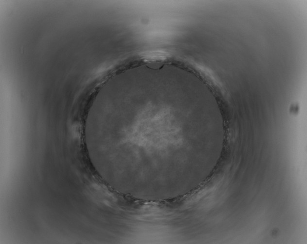 X0000100361445200807031827