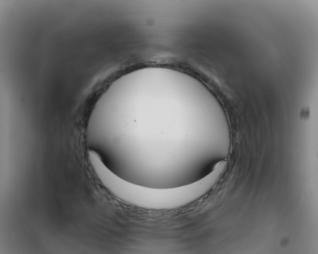 X0000100361447200807031827