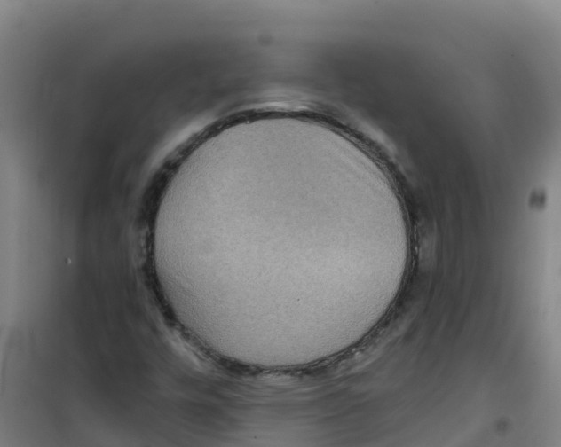 X0000100361448200807031827