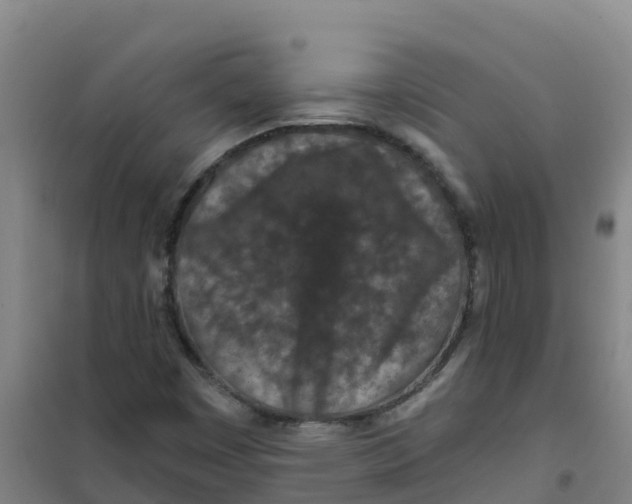 X0000100361449200807031827