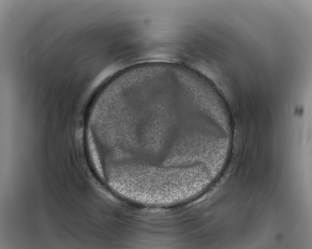 X0000100361450200807031827