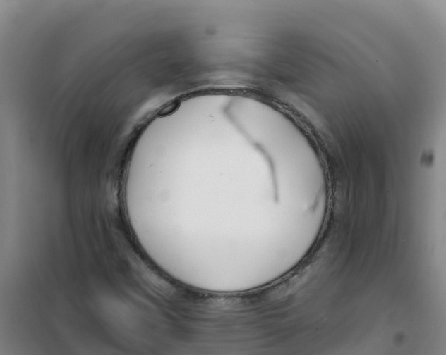 X0000100361451200807031827