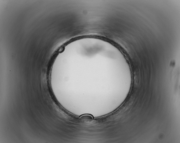 X0000100361452200807031827