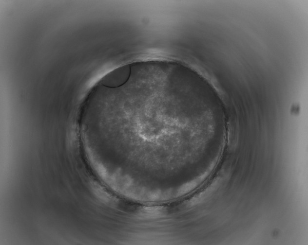 X0000100361453200807031827