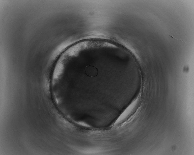 X0000100361455200807031827