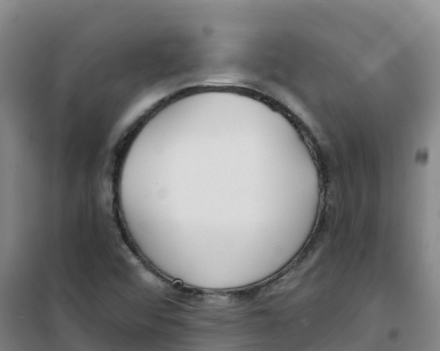 X0000100361456200807031827