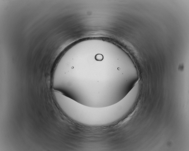 X0000100361457200807031827