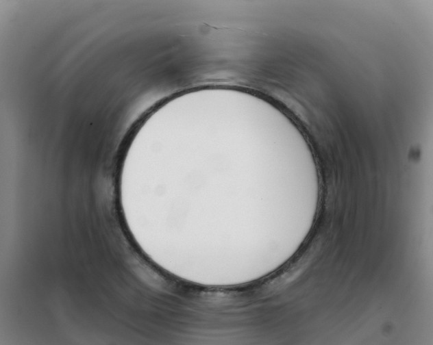 X0000100361458200807031827