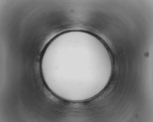 X0000100361460200807031827