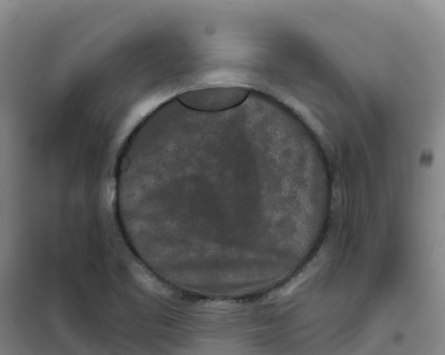 X0000100361461200807031827