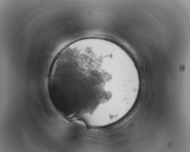 X0000100361463200807031827