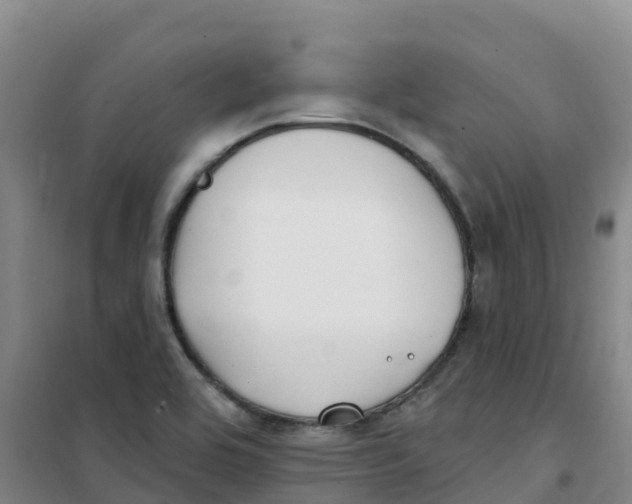 X0000100361464200807031827