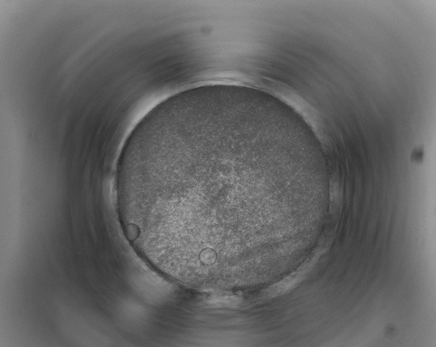 X0000100361466200807031827