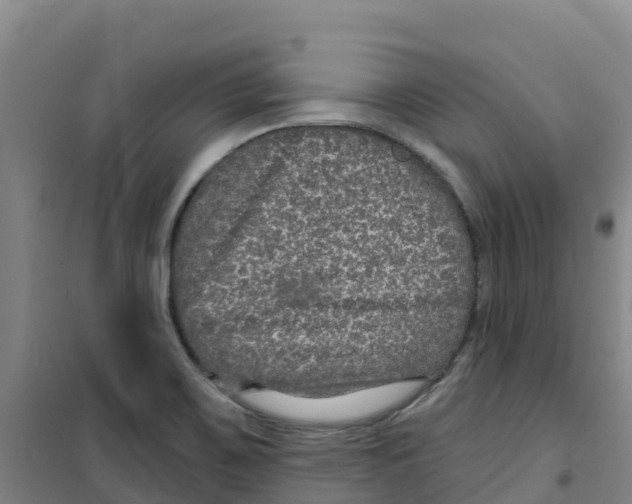 X0000100361467200807031827