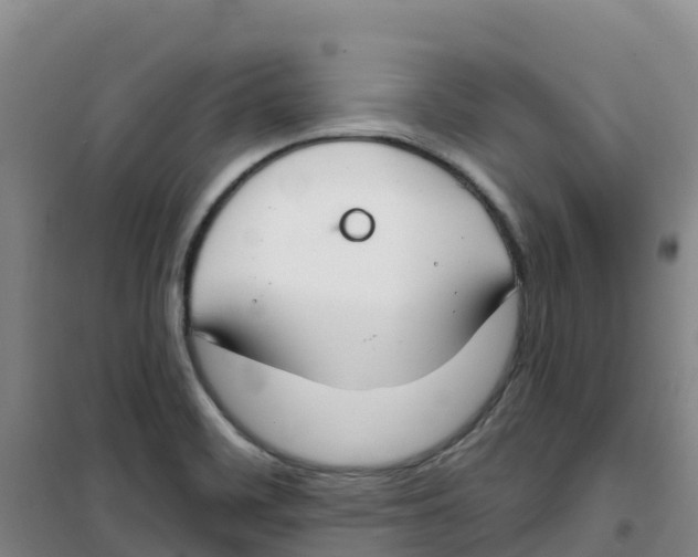 X0000100361468200807031827