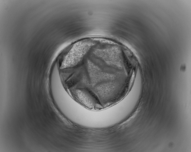 X0000100361469200807031827