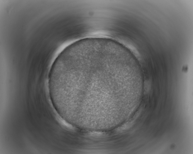 X0000100361470200807031827