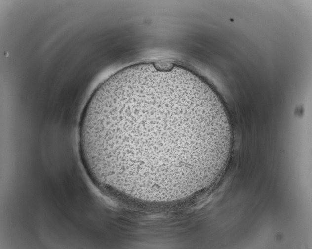 X0000100361471200807031827