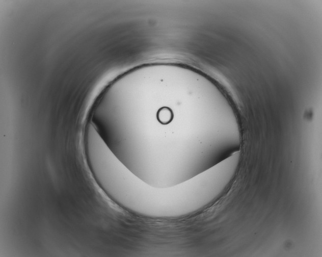 X0000100361472200807031827