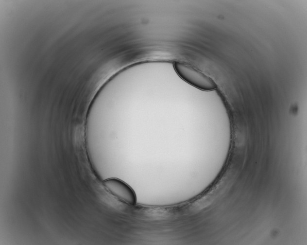 X0000100361473200807031827